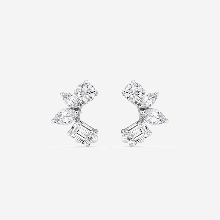 Multi-Shape Earrings